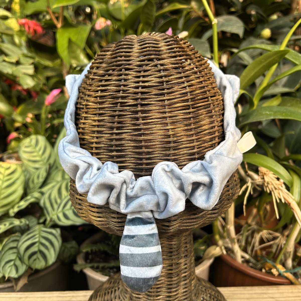 アニマルヘアバンド マヌルネコ | 神戸どうぶつ王国NS